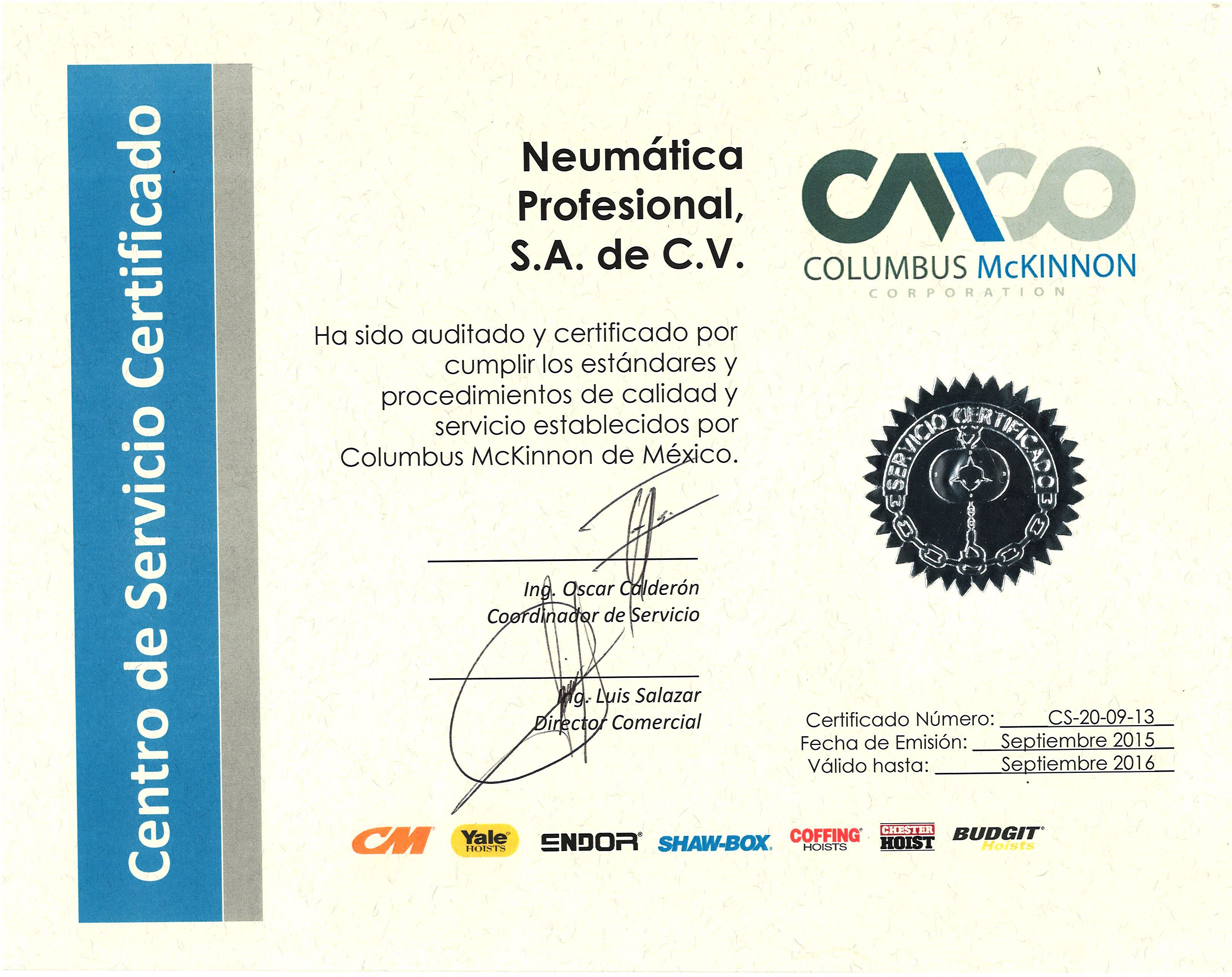 CERTIFICACION PROFESIONAL certificacion profesional: